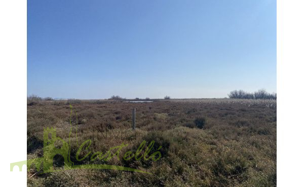 Parque Natural Aiguamolls