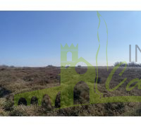 Parque Natural Aiguamolls