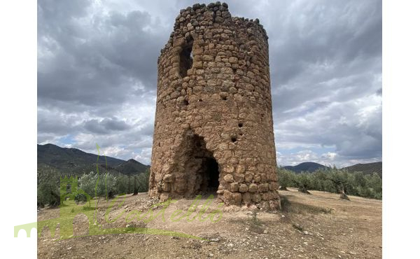 Torre e la Nave