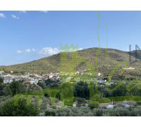 Vistas a Ventas de Carrizal desde la Cabeza Baja