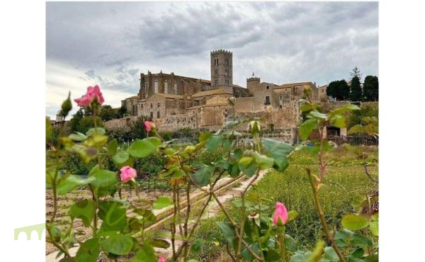 Vista a la Basílica de Santa María