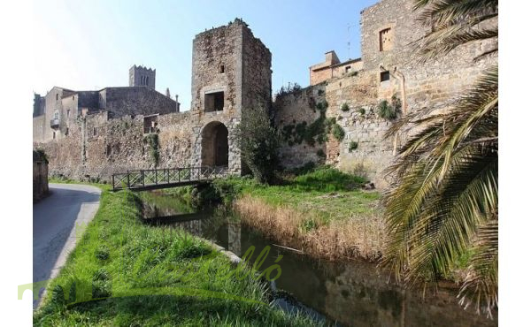 Portal de la Gallarda y los restos de la muralla