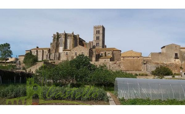Vista a la Basílica de Santa María