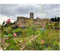 Vista a la Basílica de Santa María