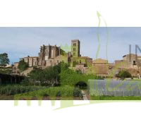 Vista a la Basílica de Santa María