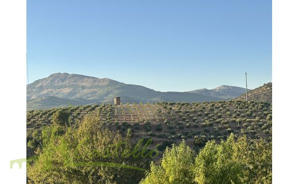 Vistas impresionantes