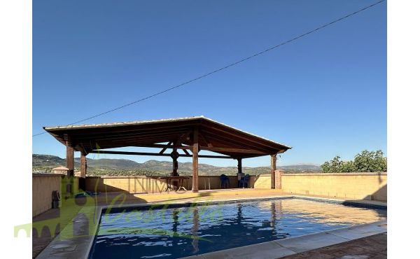Piscina con terraza y porche
